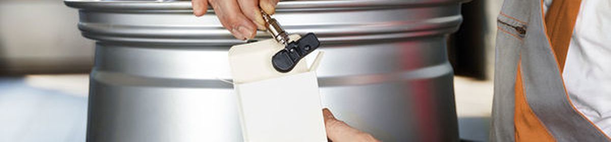 Das Reifendruckkontrollsystem (RDKS) Das Reifendruckkontrollsystem (RDKS)